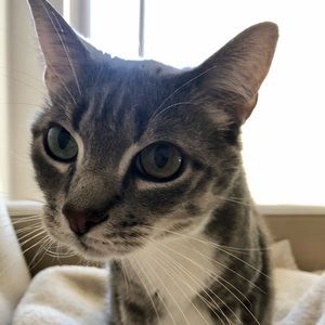 Meet your Posher, Nancy